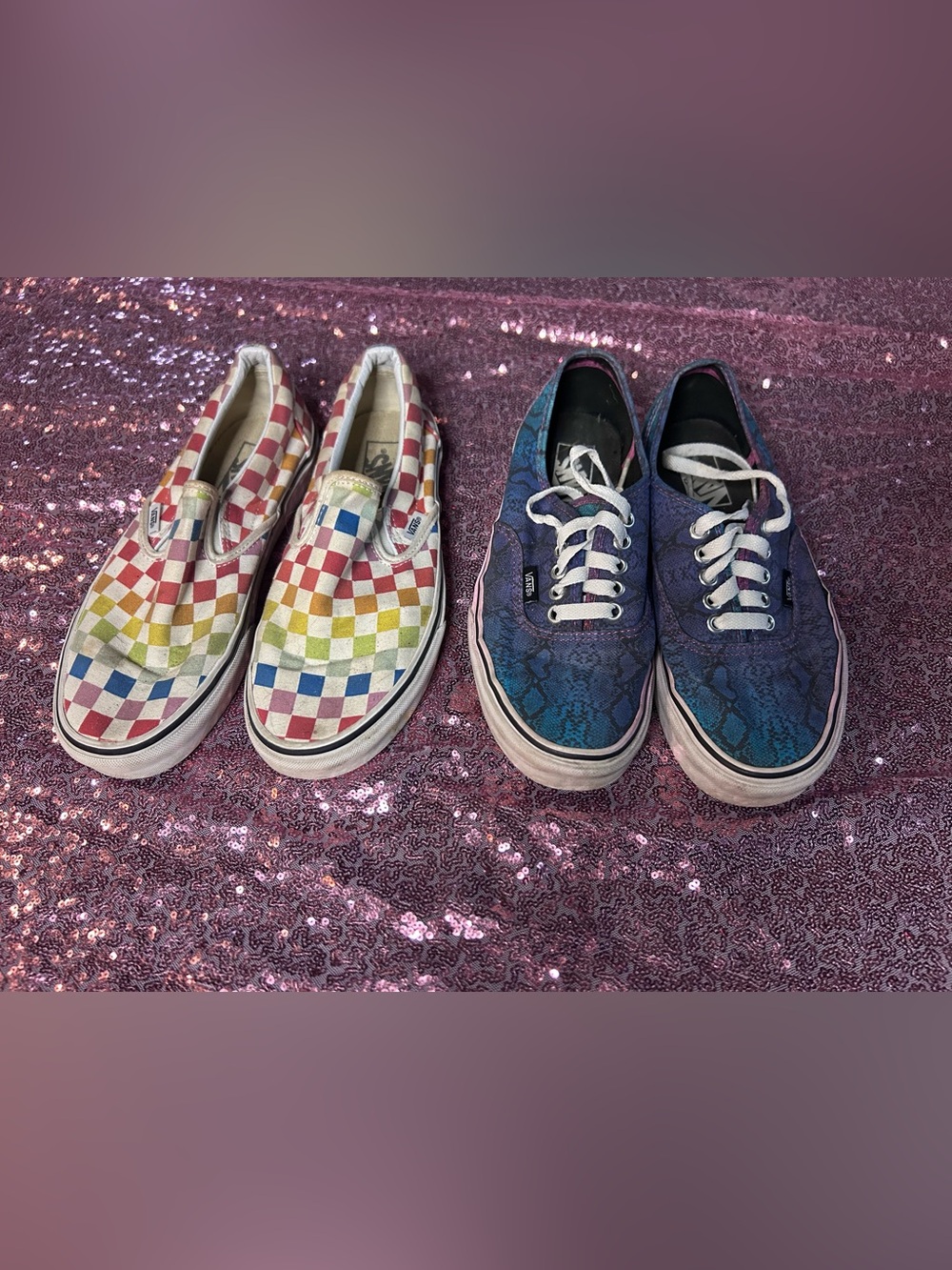 Vans Rainbow Checkerboard Slip-Ons & Blue Snakeprint Lace-Ups